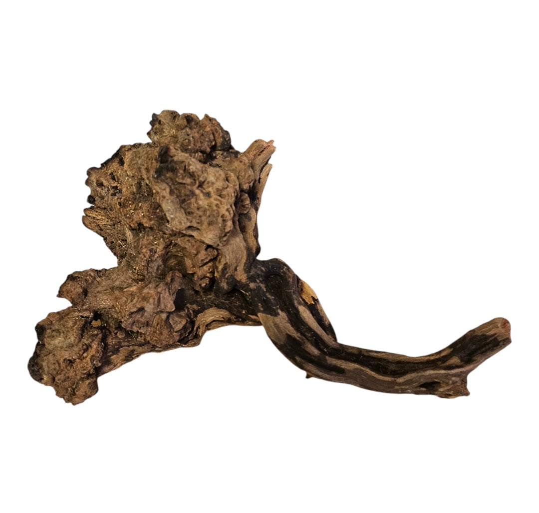 Coral Sinker Wood   Nr. 874