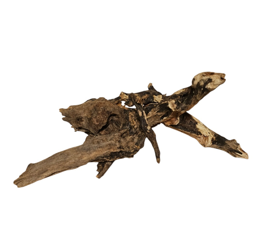 Coral Sinker Wood   Nr. 879
