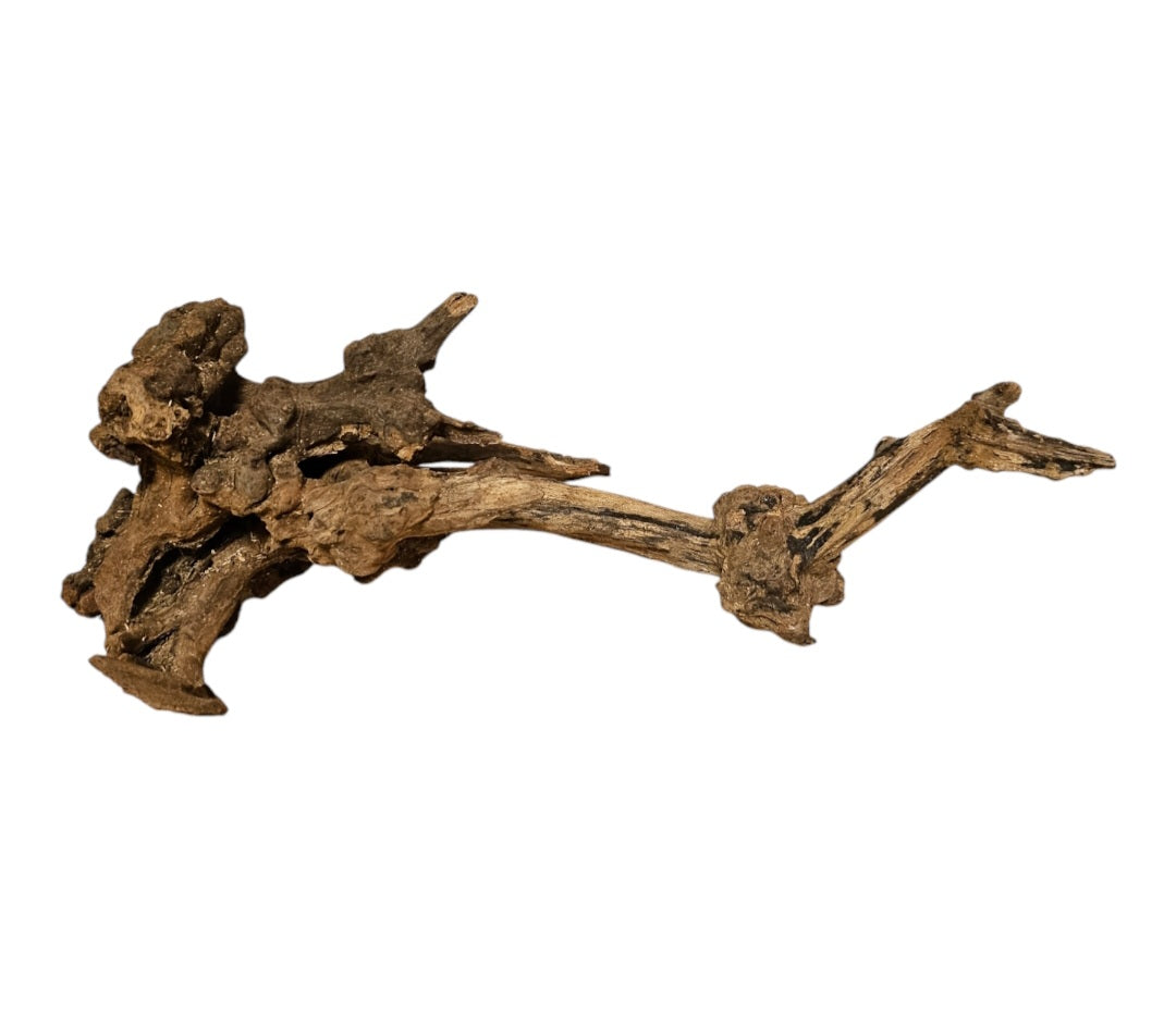 Coral Sinker Wood   Nr. 881