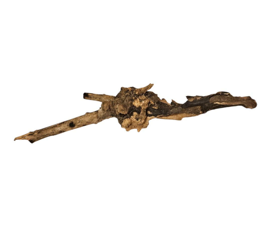 Coral Sinker Wood   Nr. 883