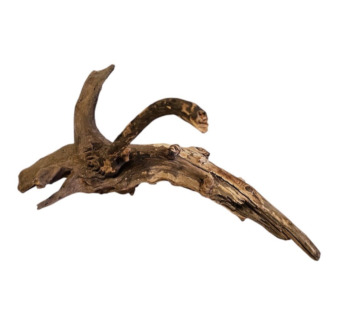 Coral Sinker Wood   Nr. 884