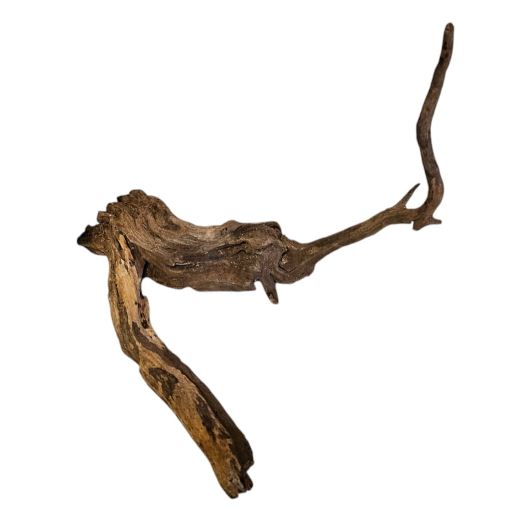 Coral Sinker Wood   Nr. 894