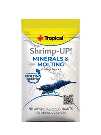 Tropical Shrimp-Up! Minerals & Molting