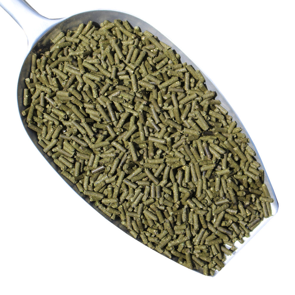 Spitzwegerich Shrimp Sticks 50g