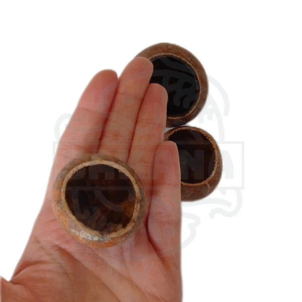 Das Bild zeigt eine Hand, die drei kleine, hohle, braune Objekte hält. Diese Objekte scheinen aus der Schale einer Frucht oder Nuss zu bestehen. Sie haben eine runde Form und eine glatte, leicht glänzende Oberfläche. Die Innenseite ist hohl und zeigt die natürliche Struktur des Materials.