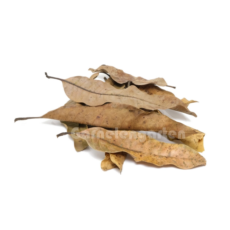  Getrocknete Mangoblätter (10g). Naturprodukt für Aquarien.
