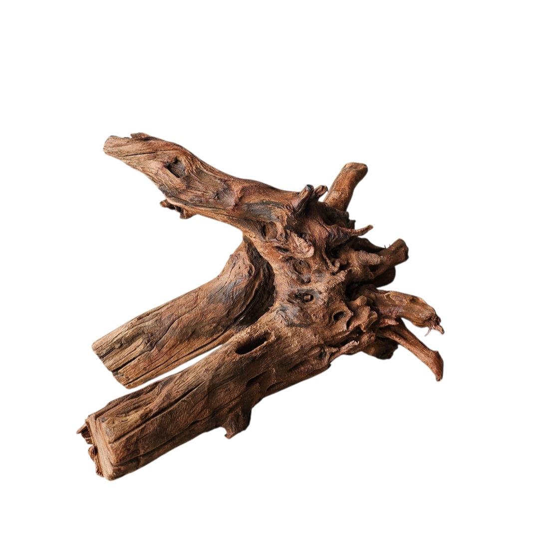 Driftwood / Flusswurzel   Nr. 255