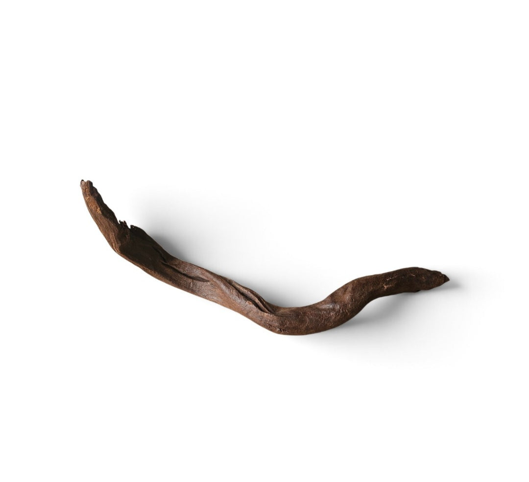 Driftwood / Flusswurzel   Nr. 15