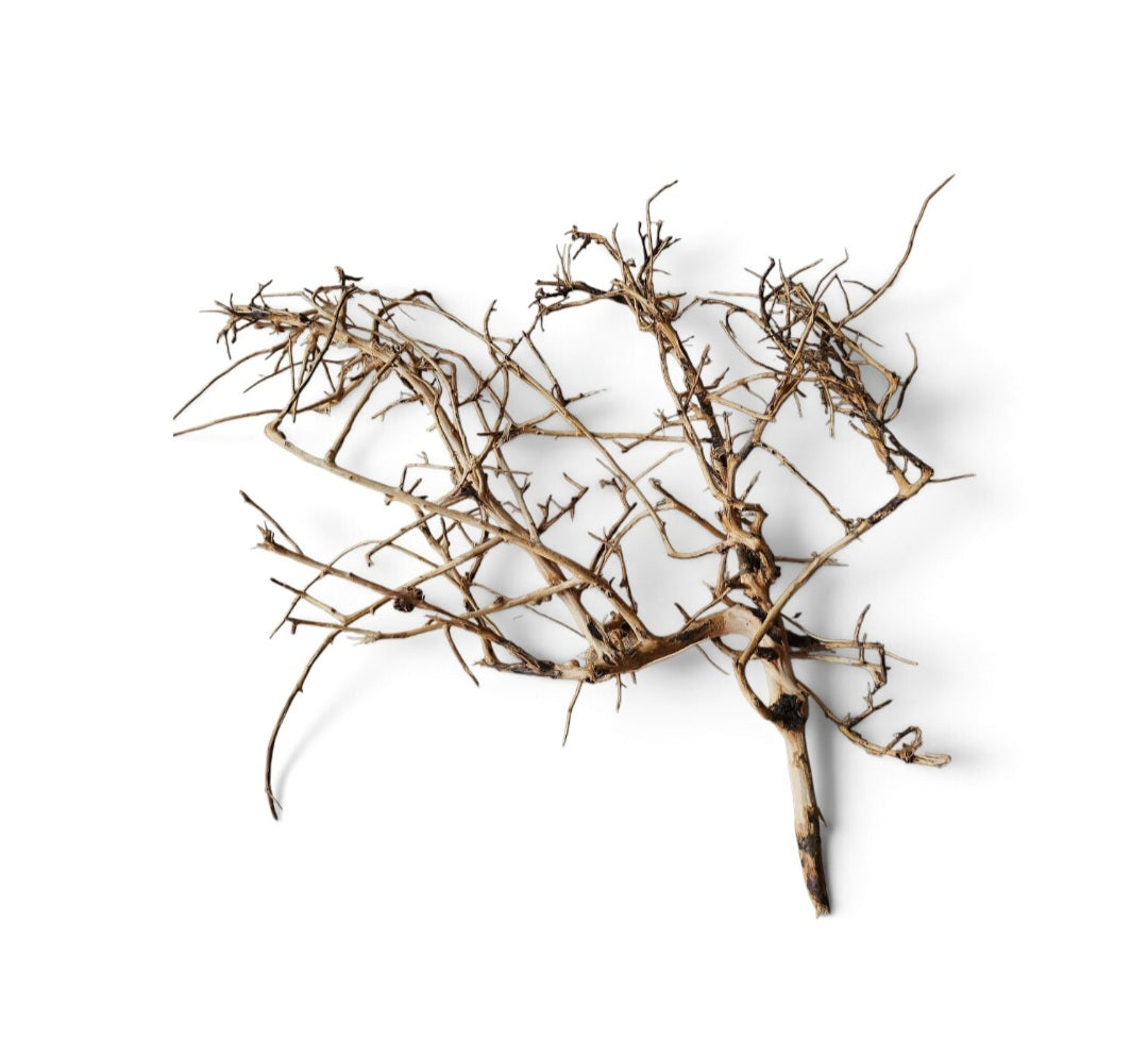 Small tree branches  Nr.668