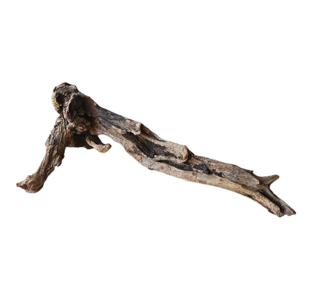 Coral Sinker Wood   Nr. 871