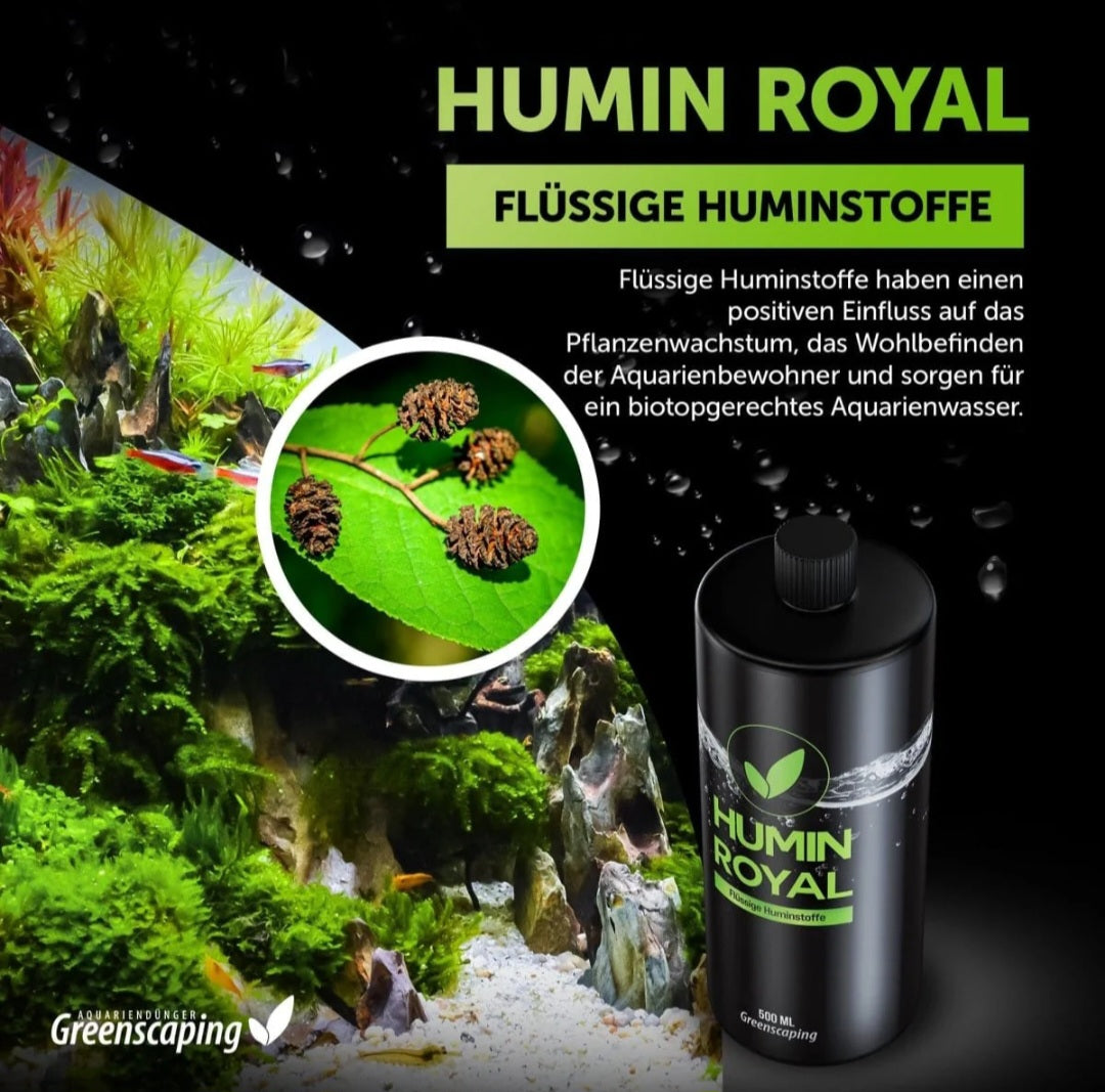 Greenscaping Nature Water Change Royal Wasseraufbereiter