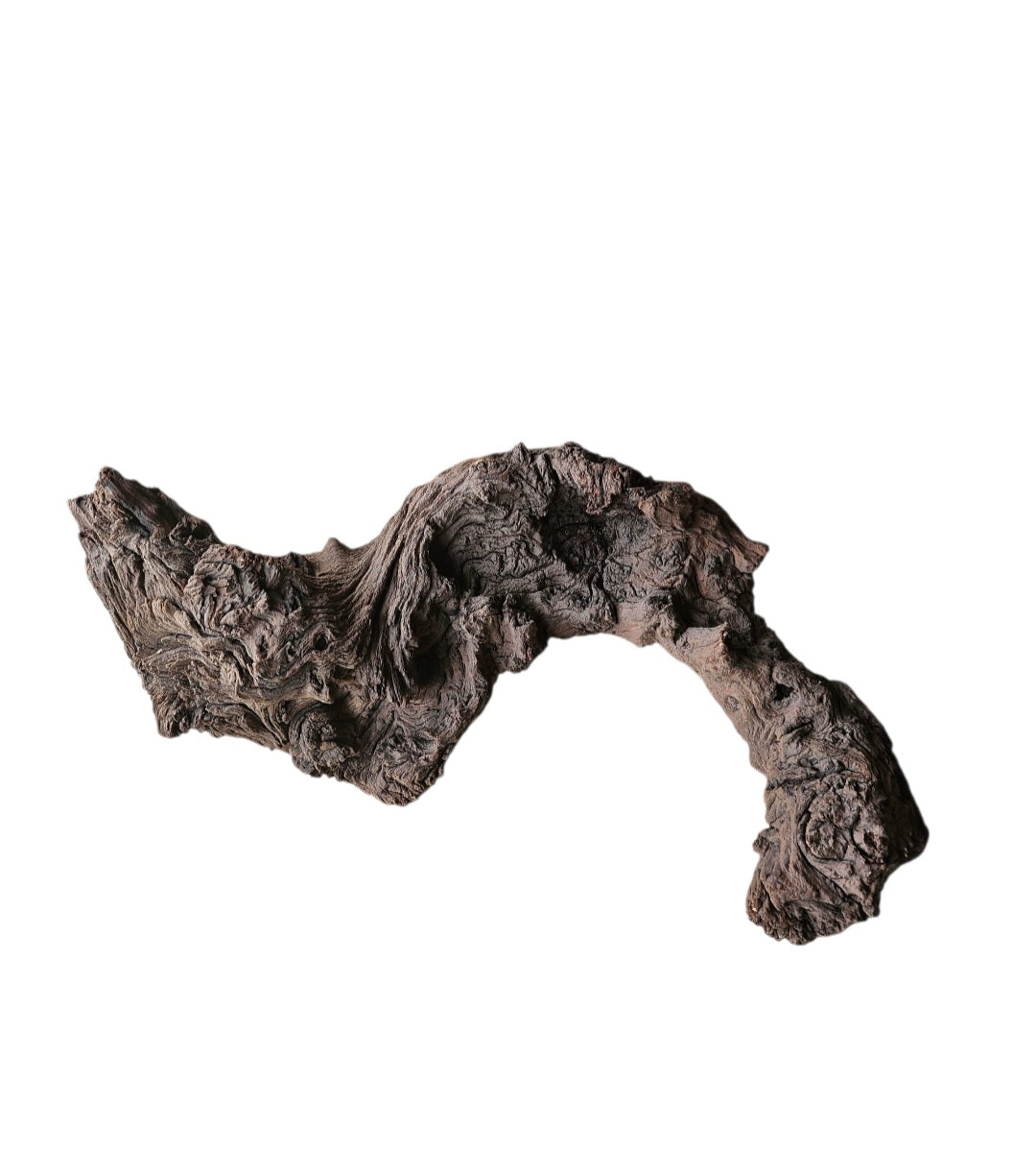 Mopani Wurzel  Nr.790