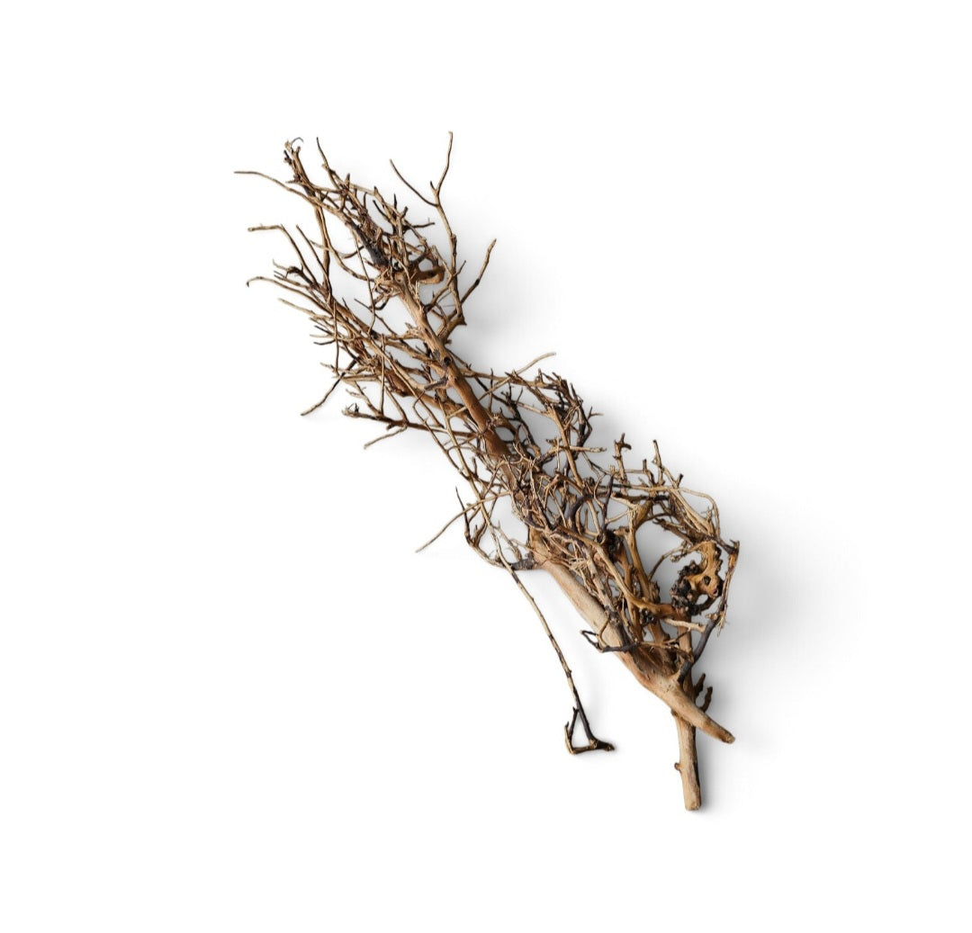 Small tree branches  Nr.672