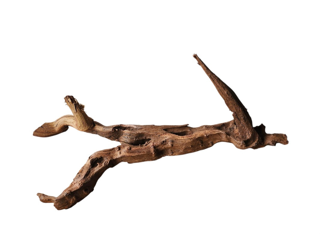 Driftwood / Flusswurzel   Nr. 478
