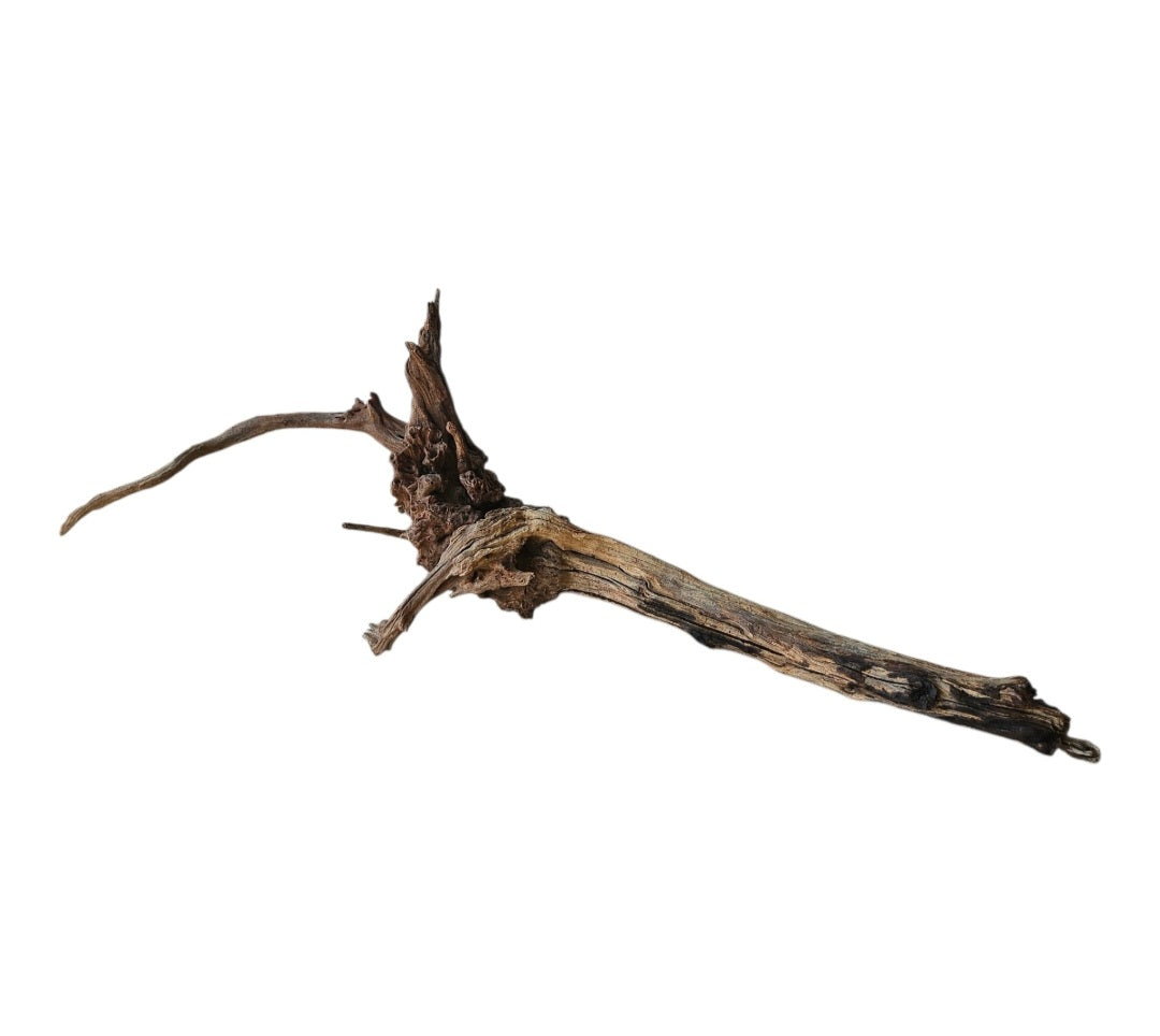 Coral Sinker Wood   Nr. 869