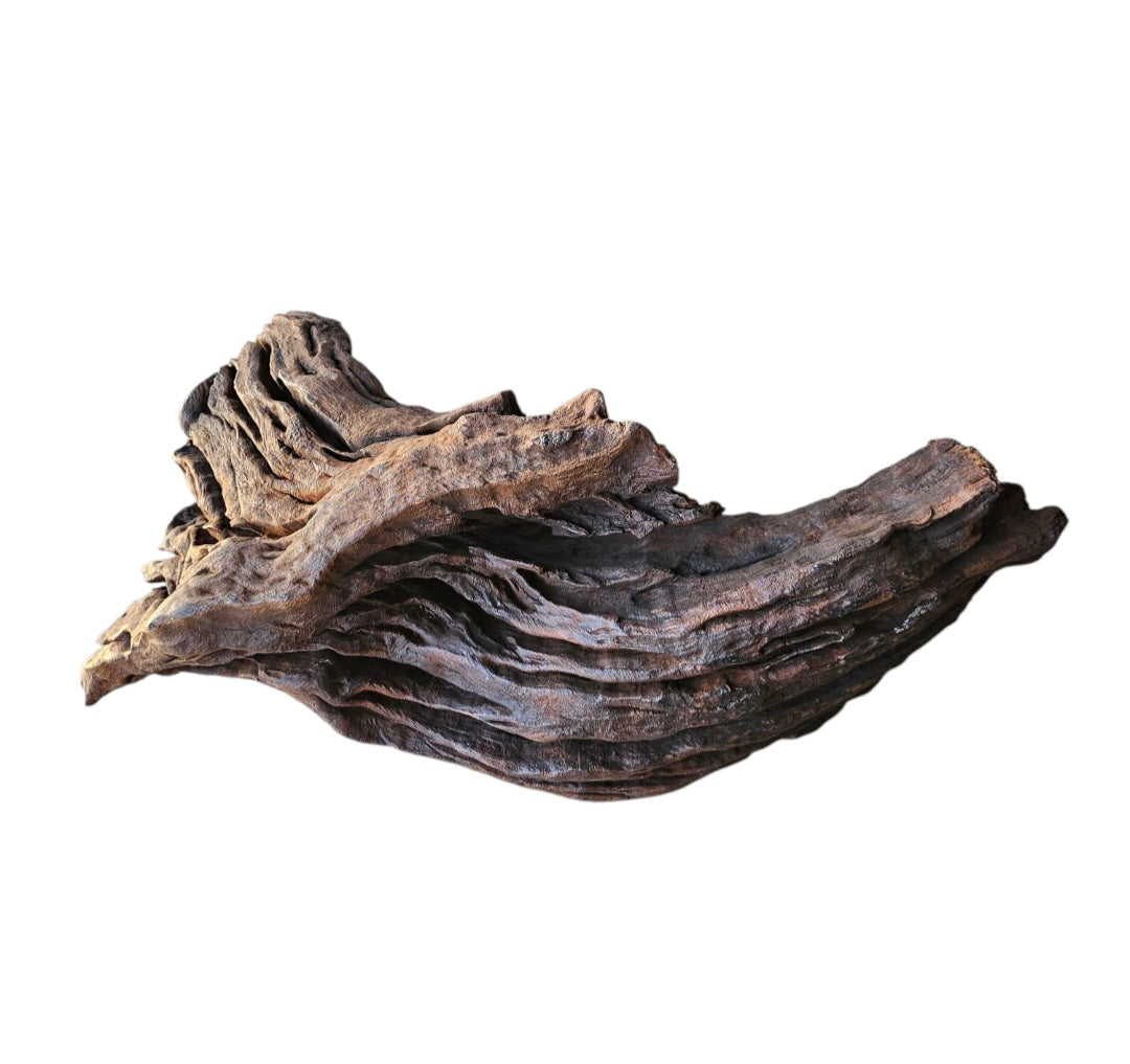Driftwood / Flusswurzel   Nr.751
