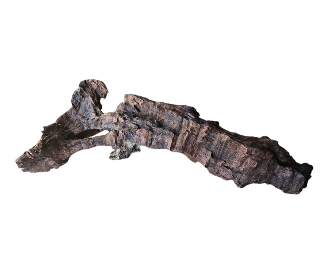 Driftwood / Flusswurzel   Nr.752