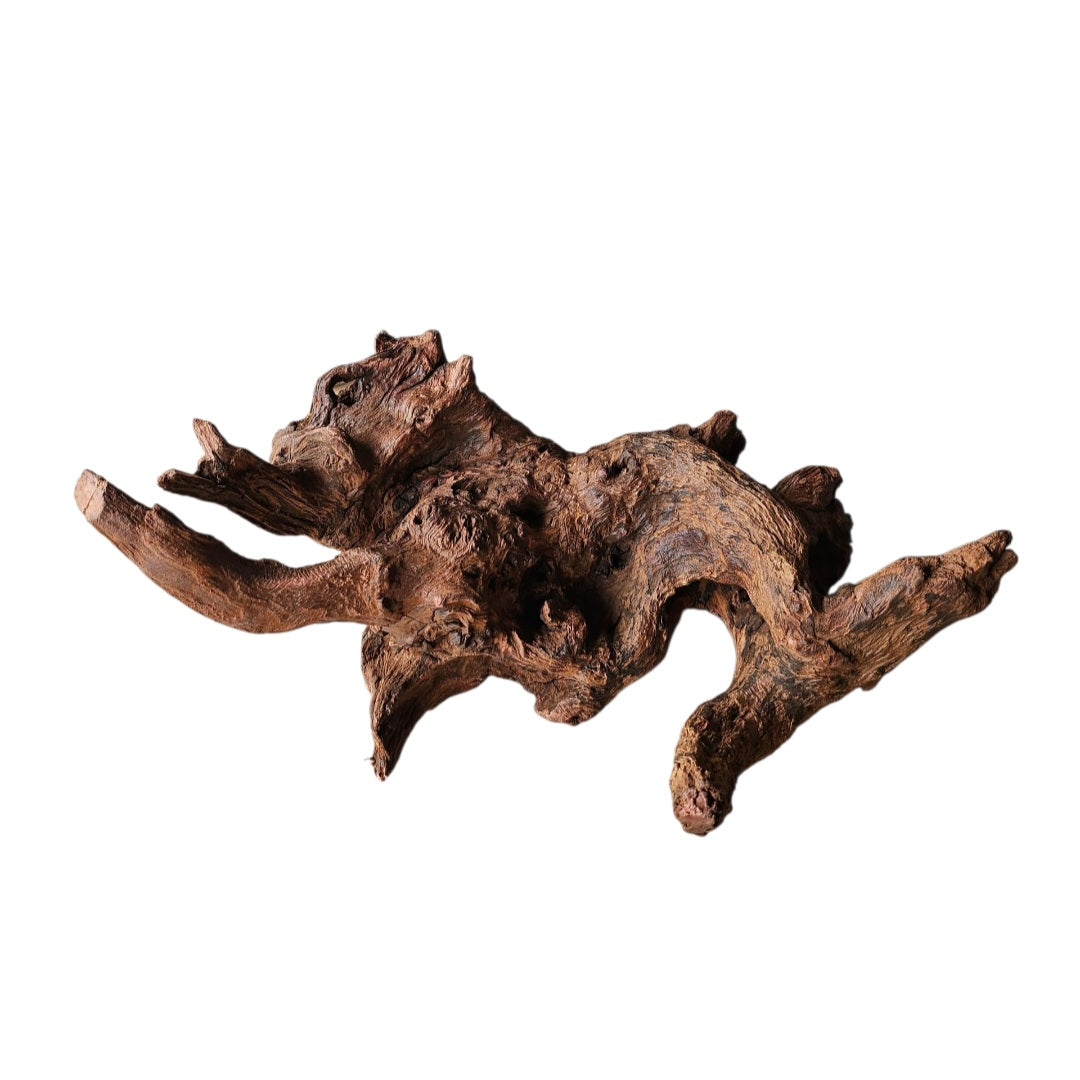 Driftwood / Flusswurzel   Nr.335
