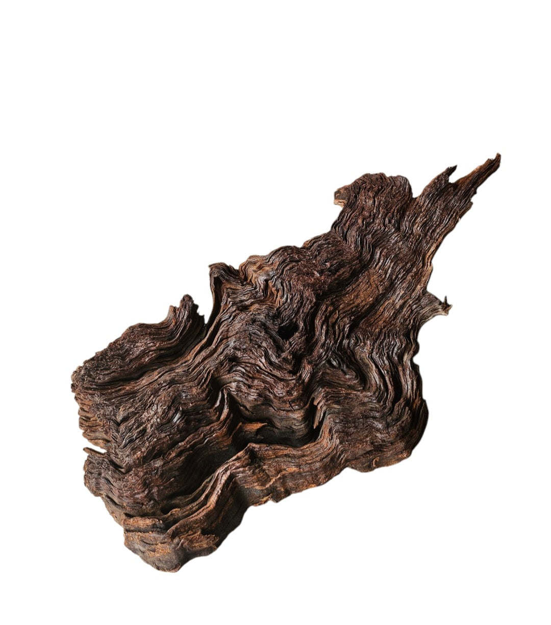 Driftwood / Flusswurzel   Nr.337
