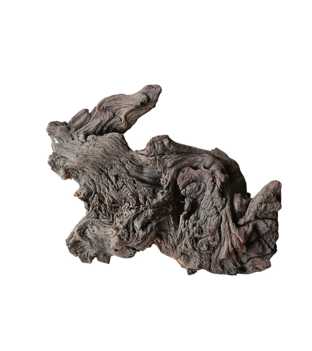Mopani Wurzel  Nr.371