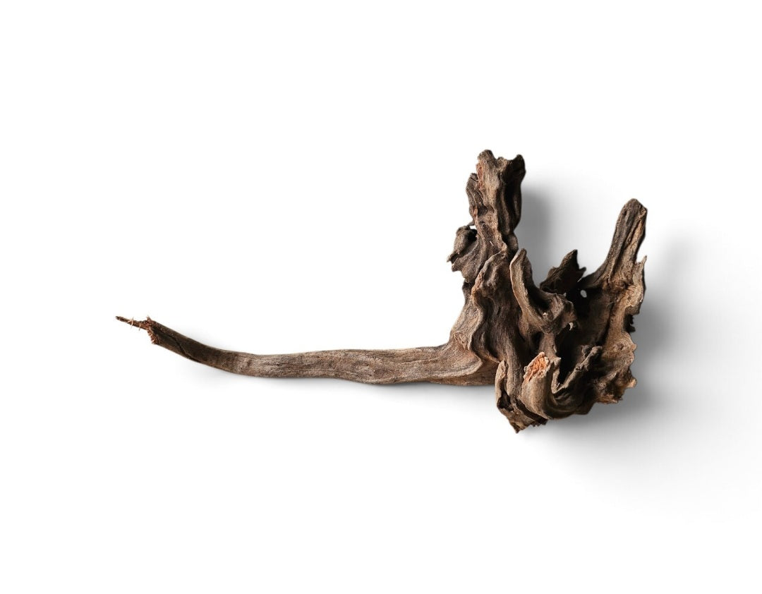 Coral Sinker Wood   Nr. 107