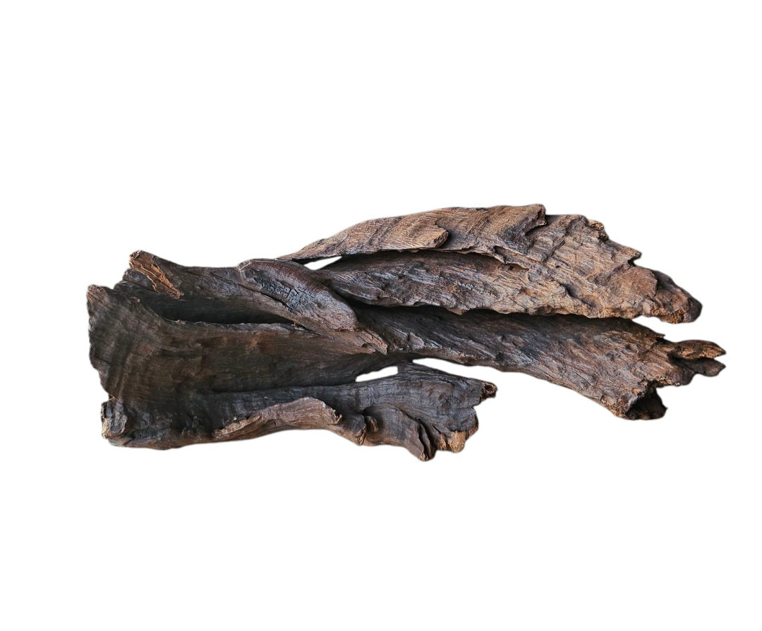 Driftwood / Flusswurzel   Nr.751