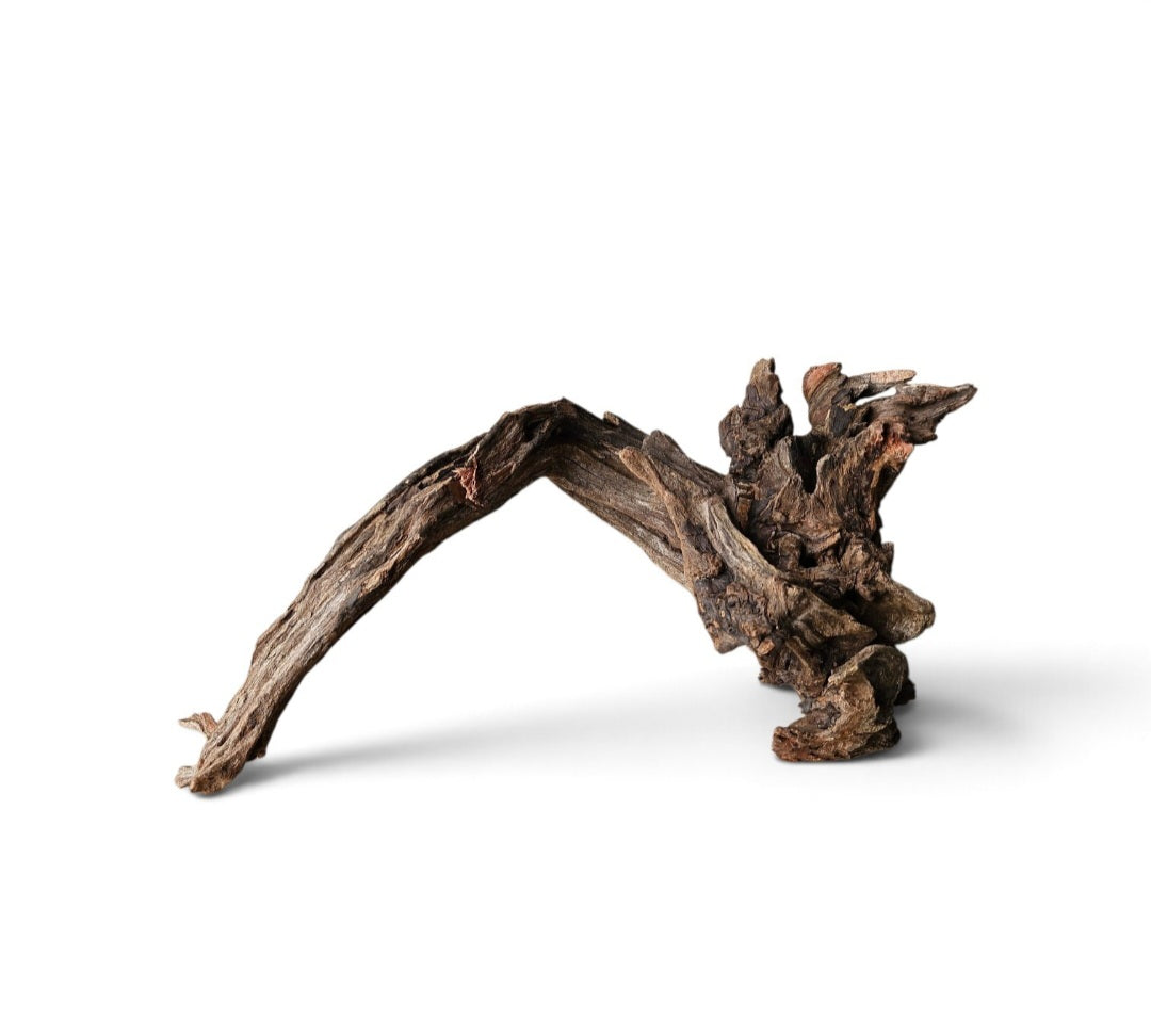 Coral Sinker Wood   Nr.606