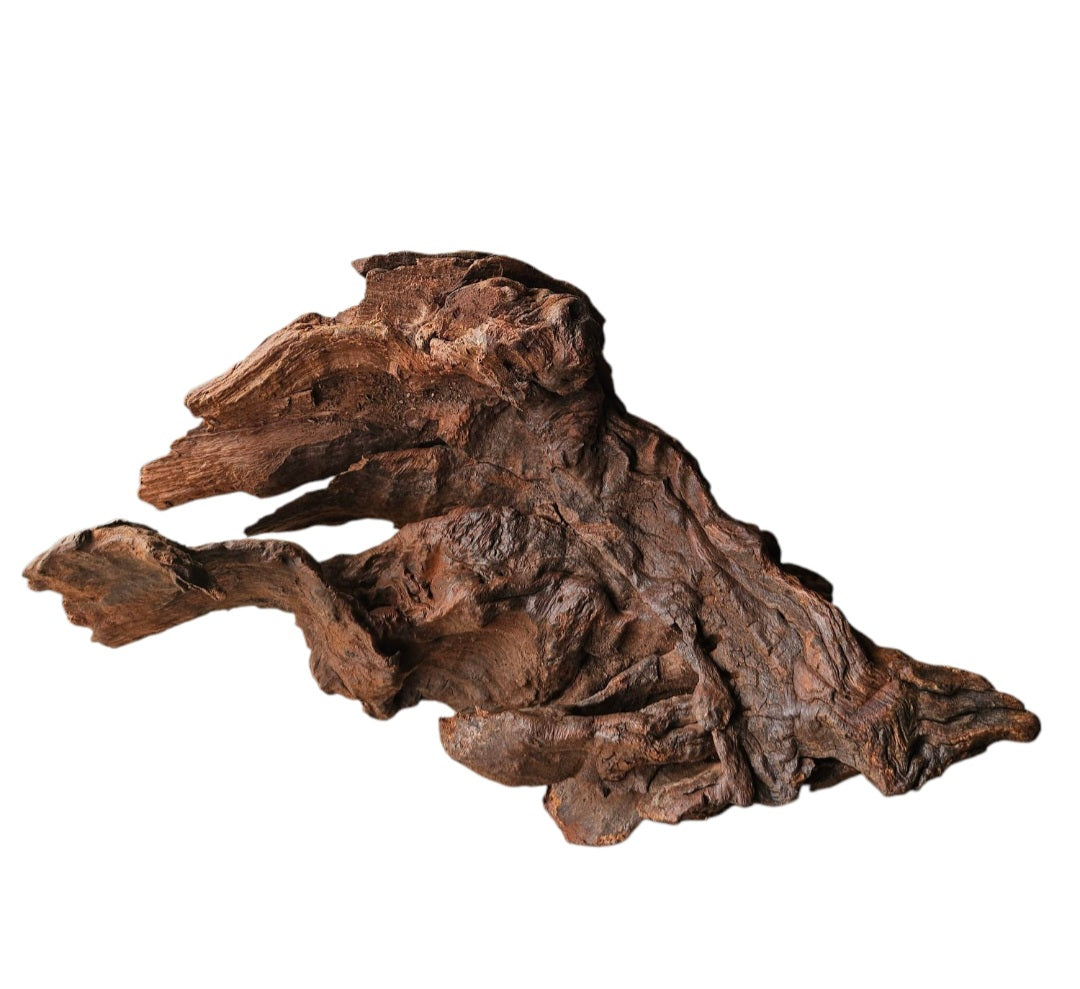Driftwood / Flusswurzel   Nr. 248
