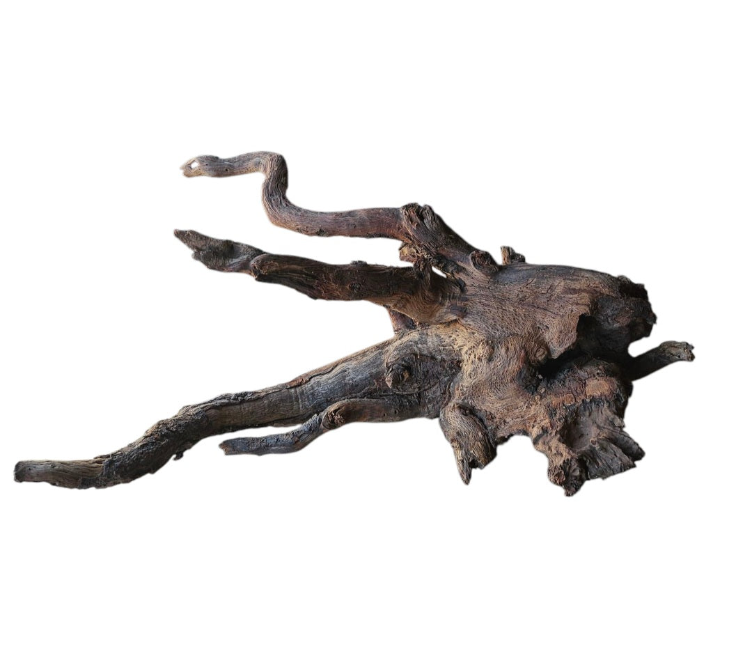 Driftwood / Flusswurzel   Nr. 485