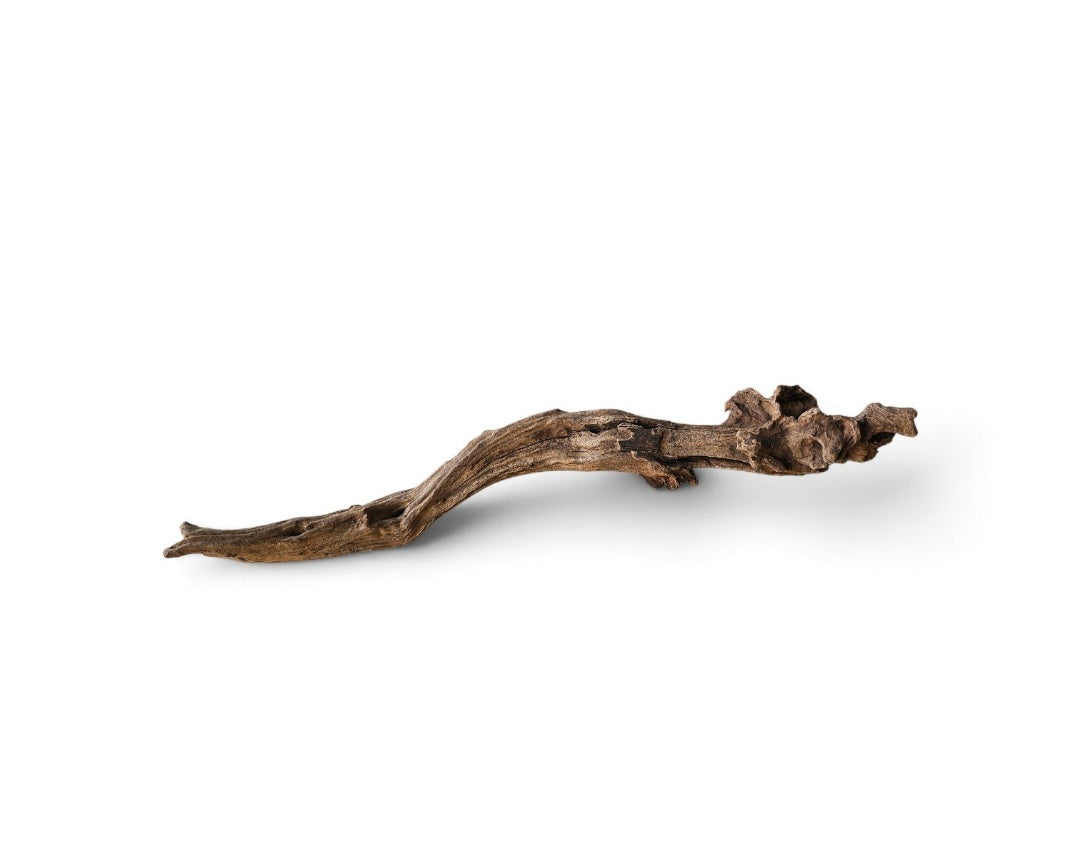Coral Sinker Wood   Nr. 133