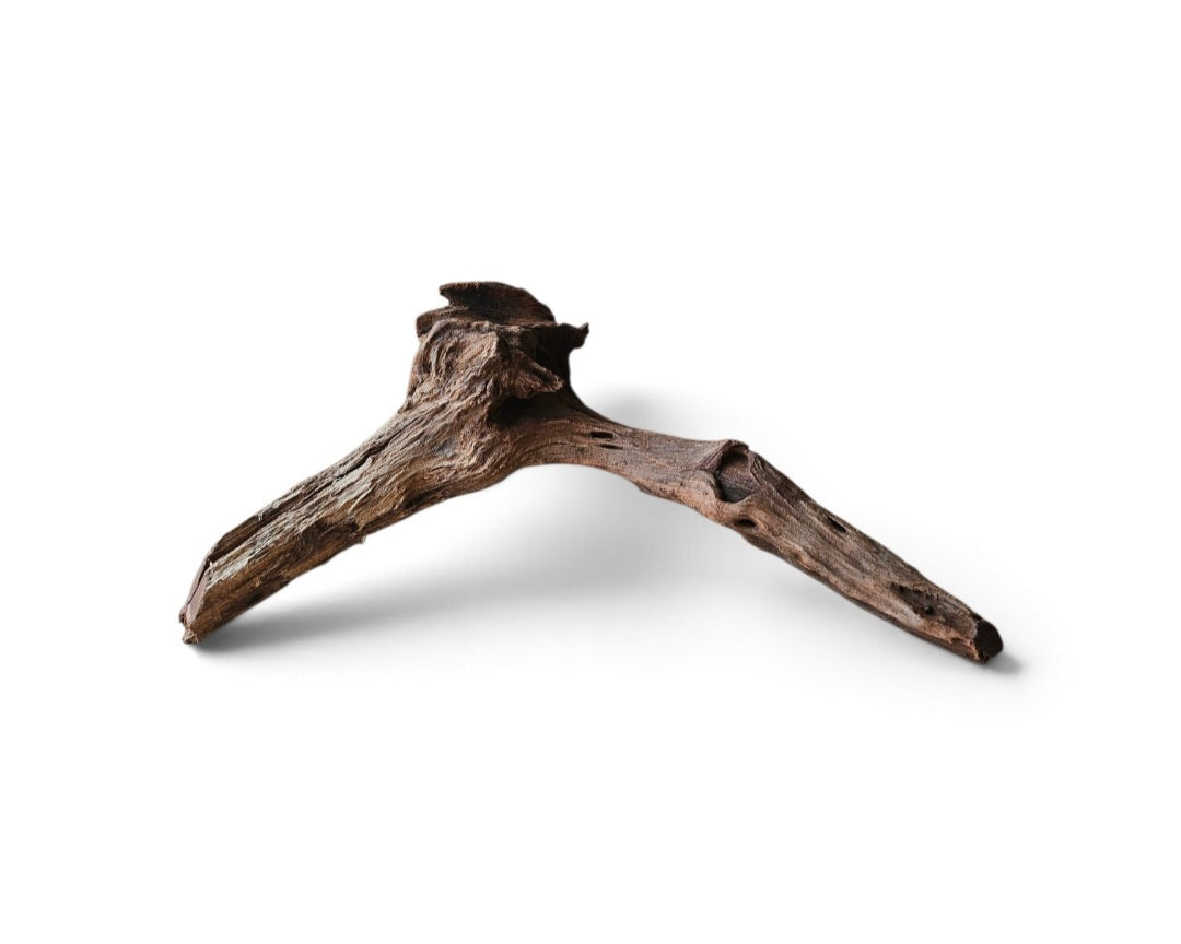 Coral Sinker Wood   Nr. 877