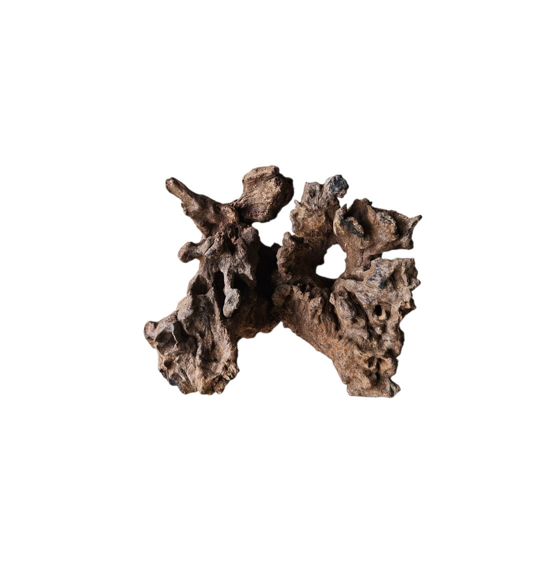 Coral Sinker Wood   Nr. 888