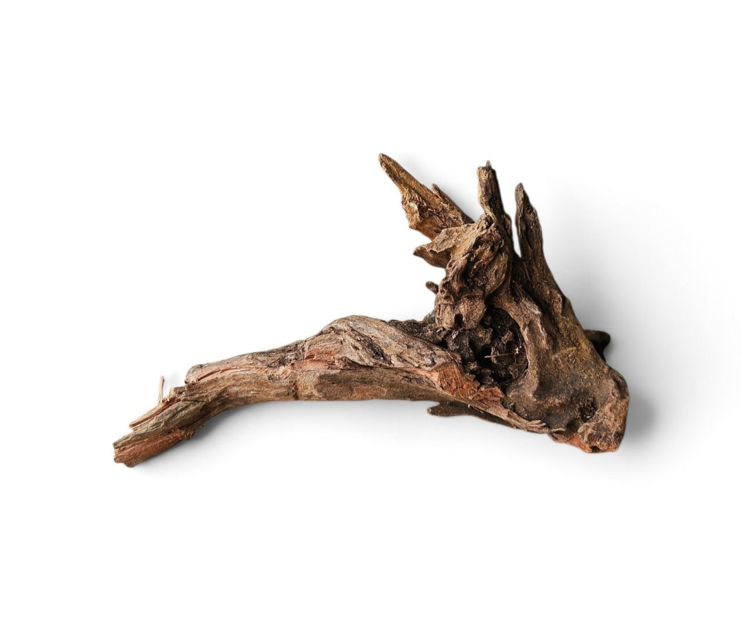 Coral Sinker Wood   Nr. 152