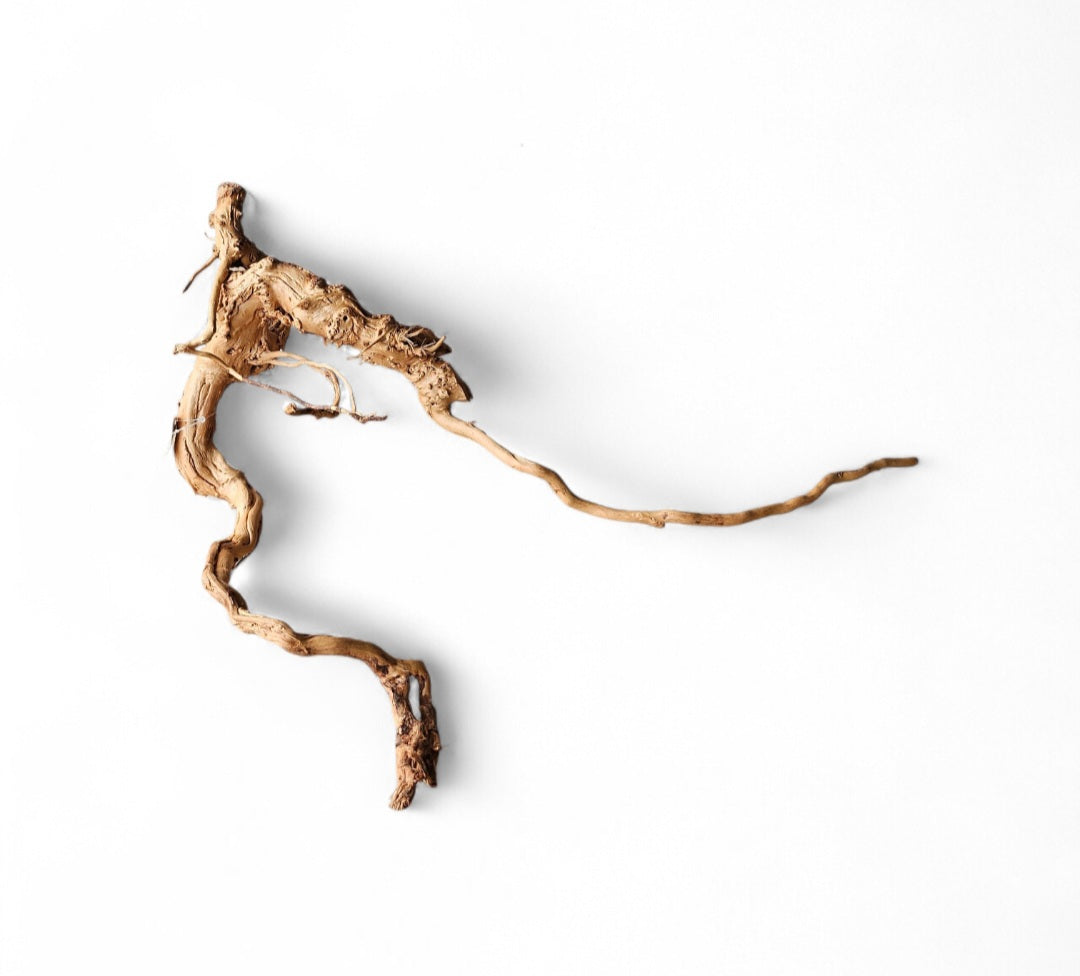 Dragon Wood / Curl Wood  Wurzel 316