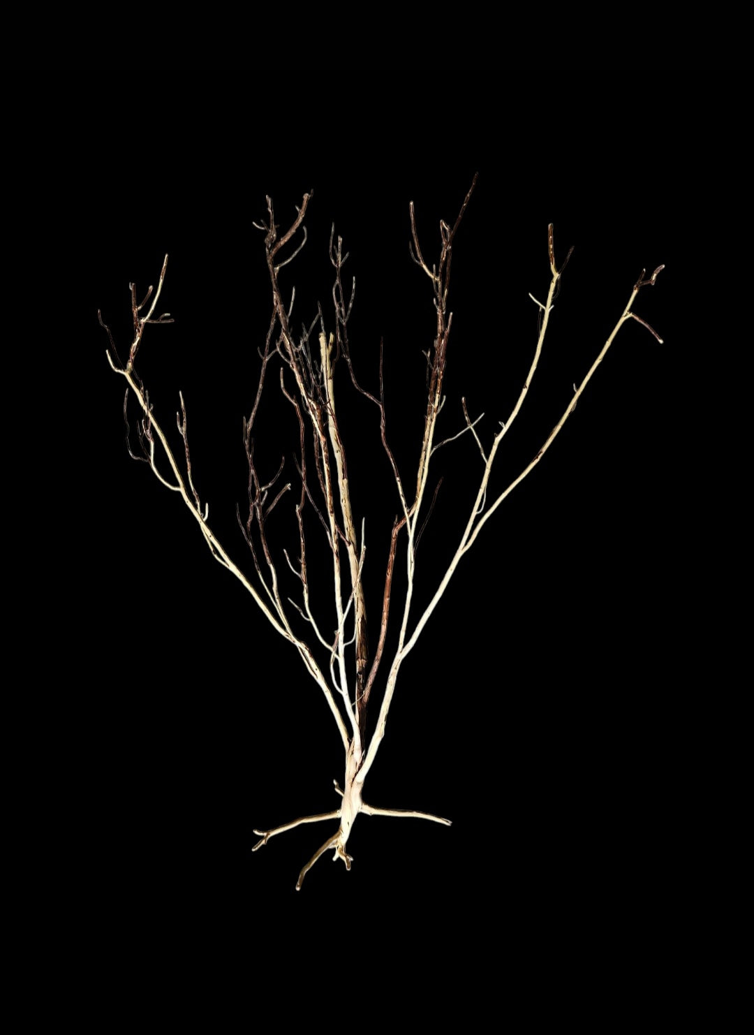 Ghost Wood  XL  Nr.860