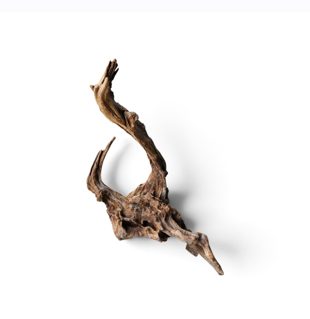 Coral Sinker Wood   Nr. 104