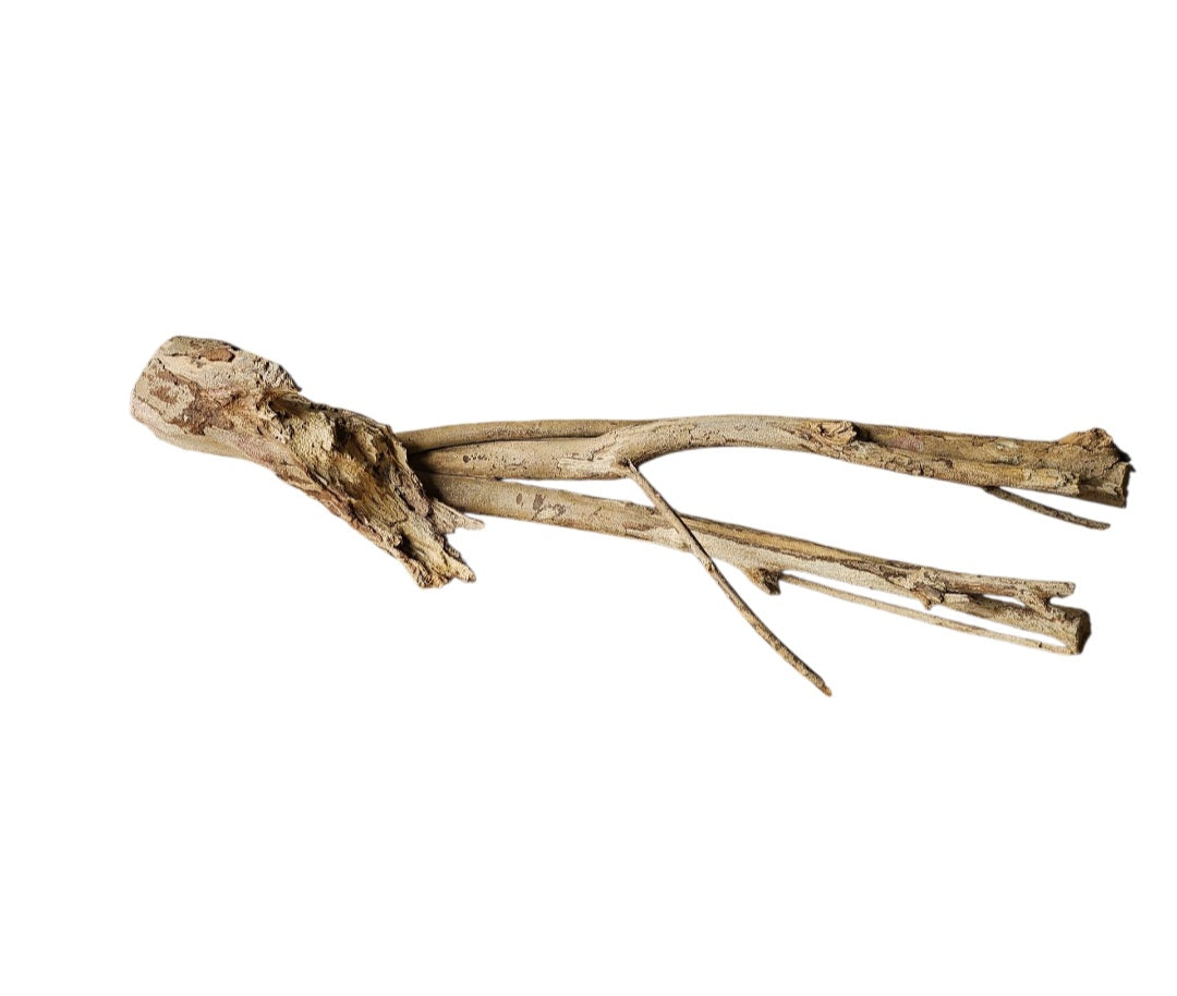 Talawa Wood 50-70cm  Nr. 223