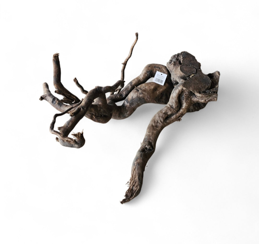 Dunkle Moorwurzel L (40-45 cm)   Nr. 927
