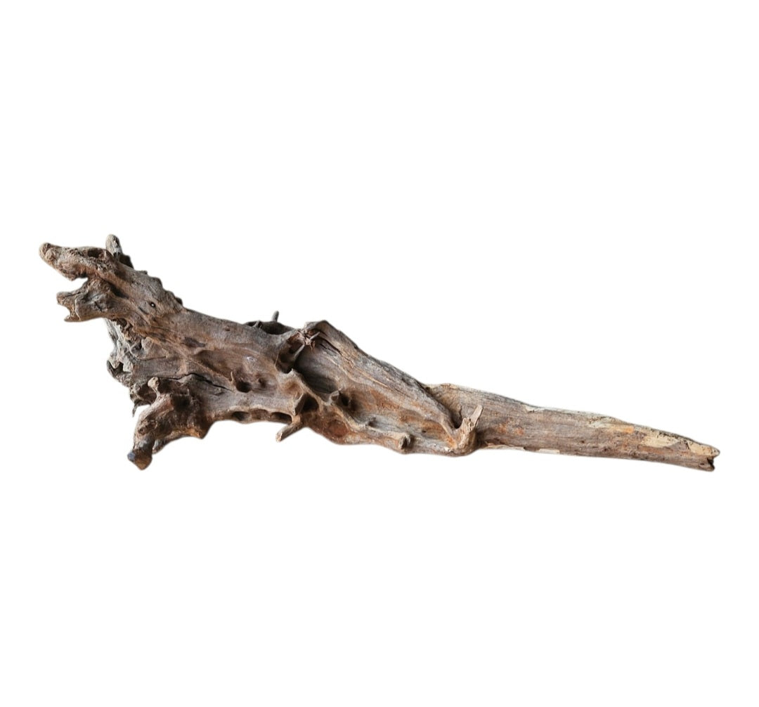 Coral Sinker Wood   Nr. 875