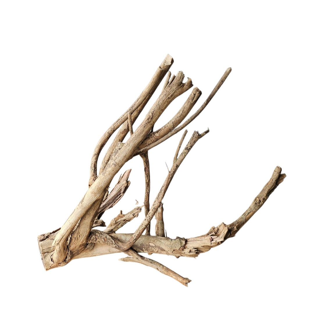 Talawa Holz / Wood 50-70 cm  Nr. 226