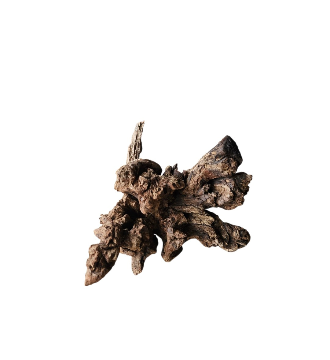 Coral Sinker Wood   Nr. 887