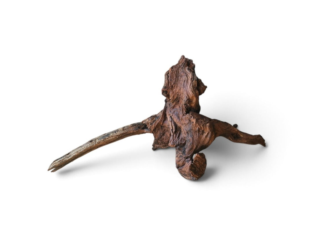 Driftwood / Flusswurzel   Nr.176