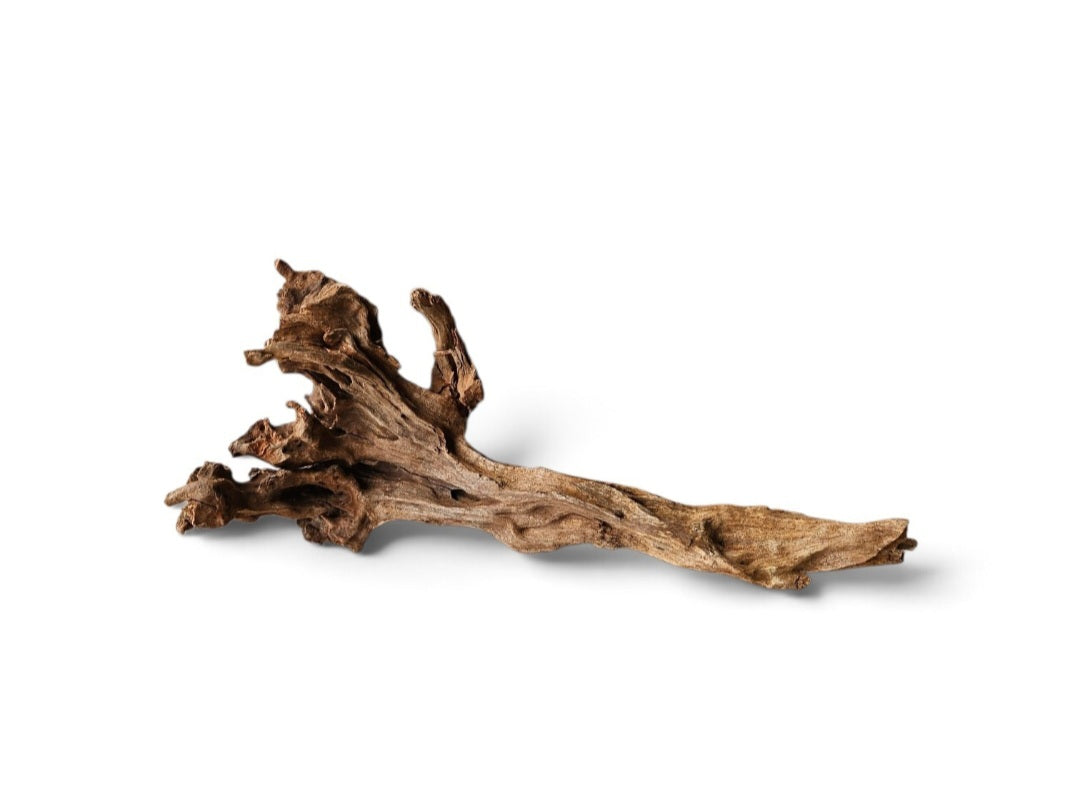 Coral Sinker Wood   Nr. 464