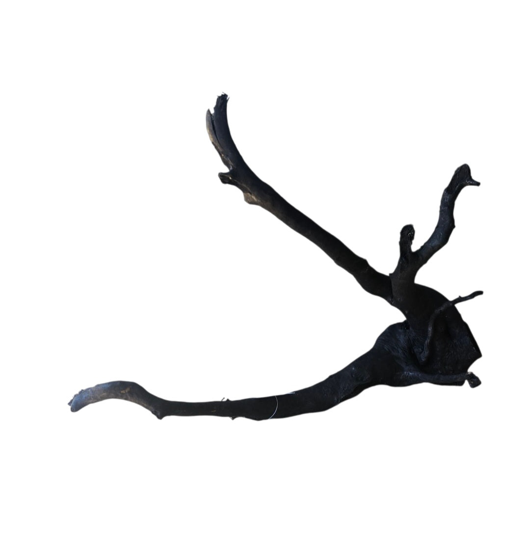 Schwarze Moorwurzel L (40-45 cm)   Nr.933