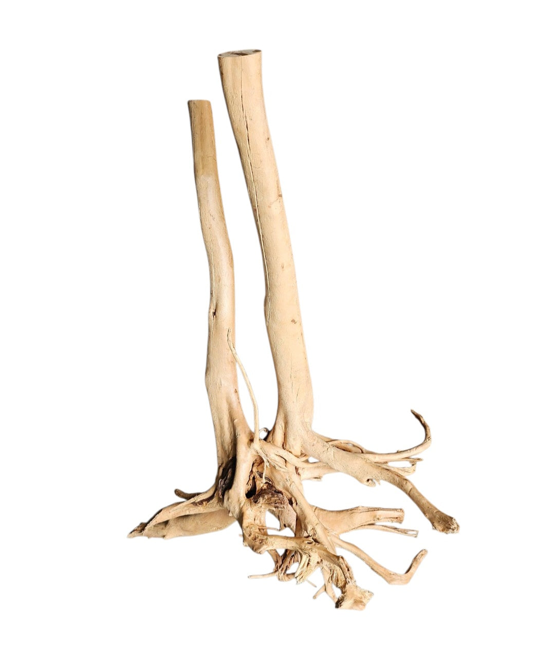 Rainforest Wood Stump  Nr.472