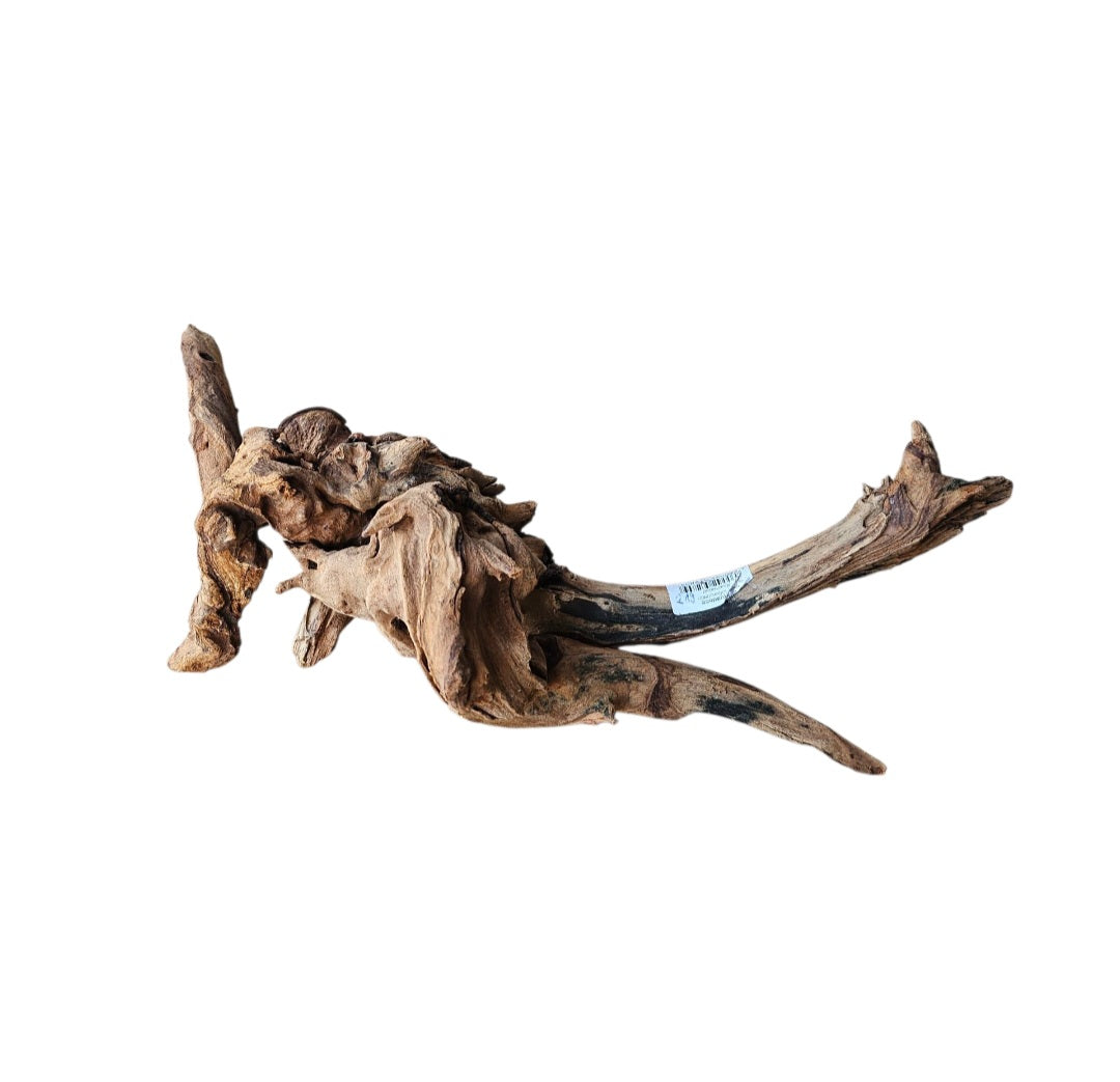 Driftwood / Flusswurzel   Nr.374