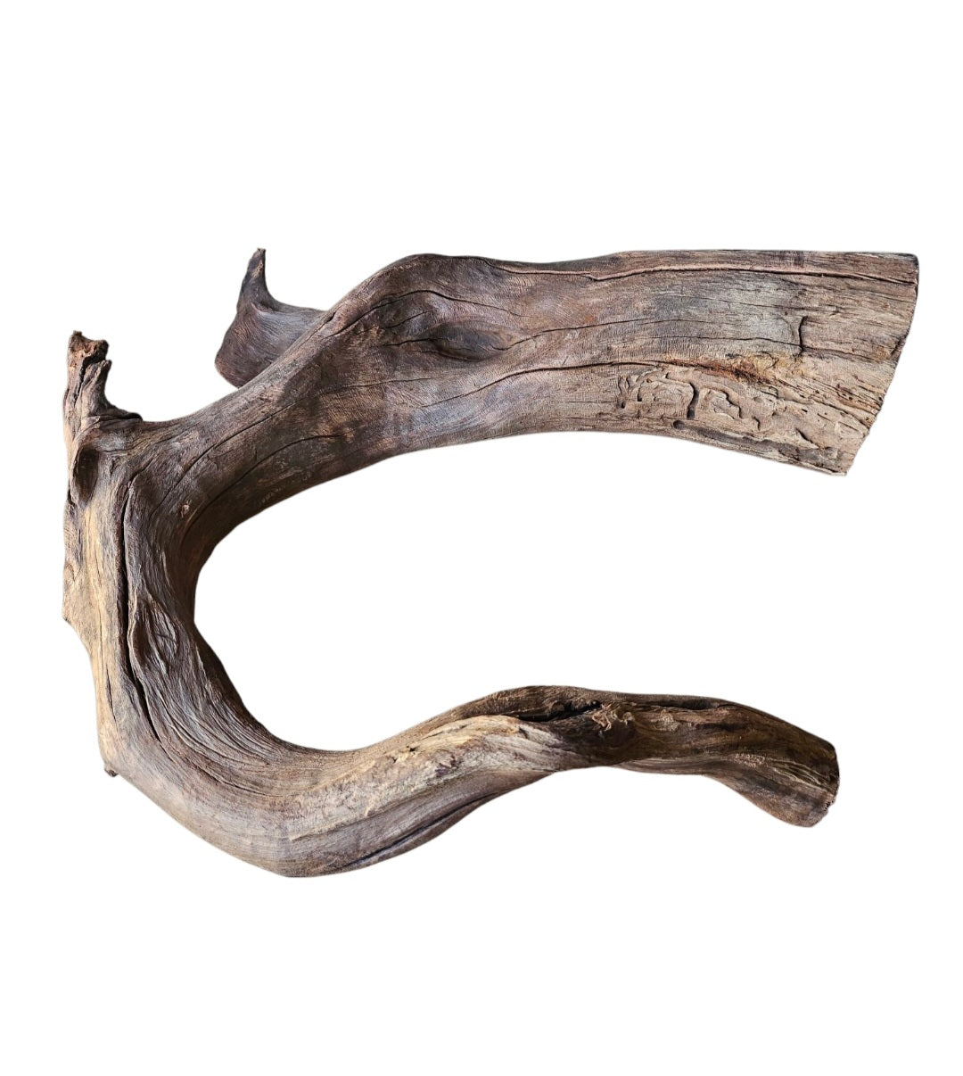 Driftwood / Flusswurzel   Nr. 476