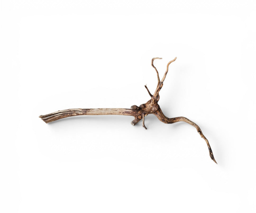 Dark Snake Wood   Nr.577