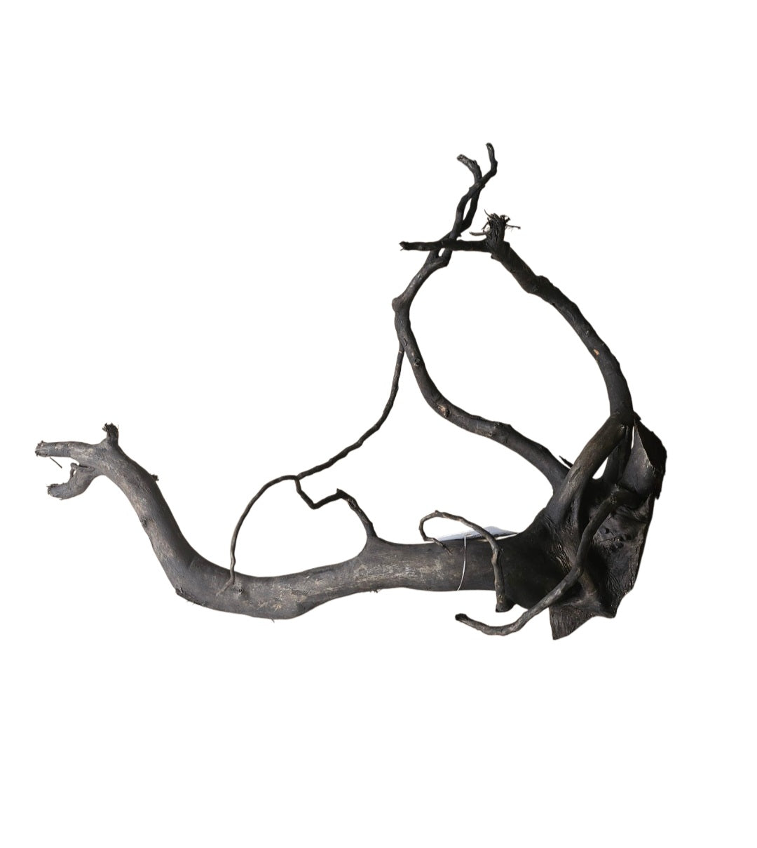 Schwarze Moorwurzel L (40-45 cm)   Nr.928