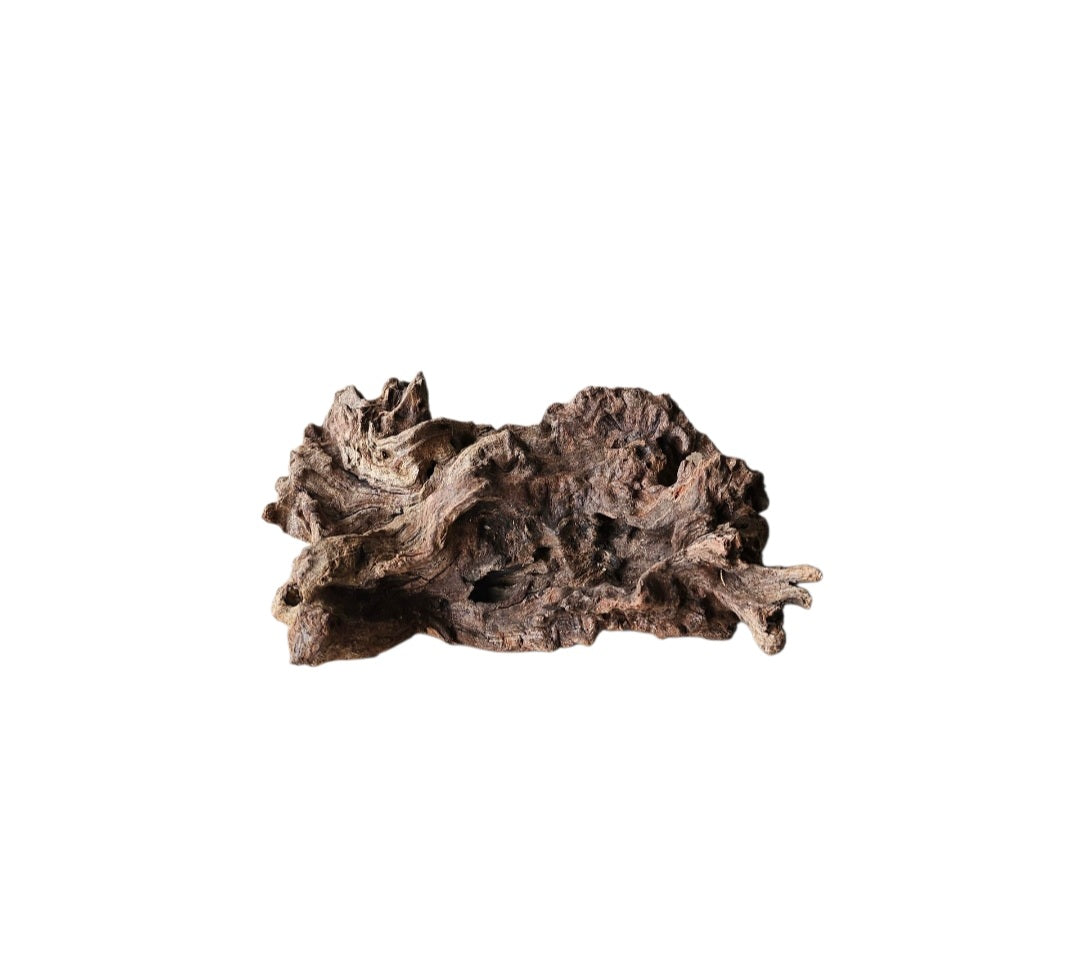 Coral Sinker Wood   Nr.618